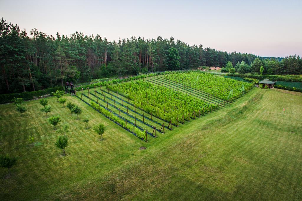 Warminska Winnica Barczewo Kültér fotó