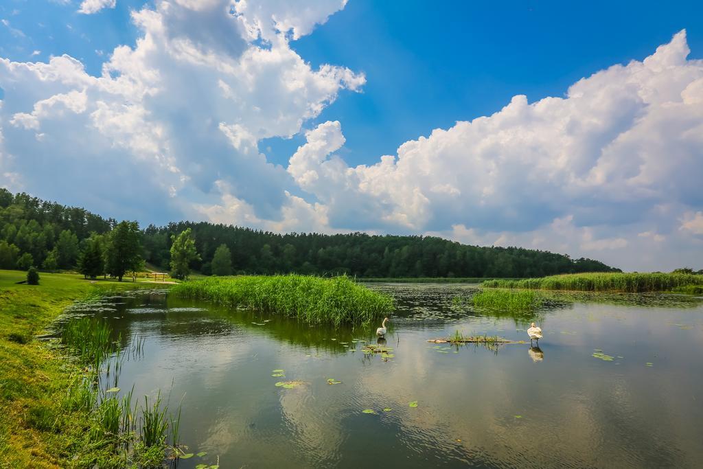 Warminska Winnica Barczewo Kültér fotó